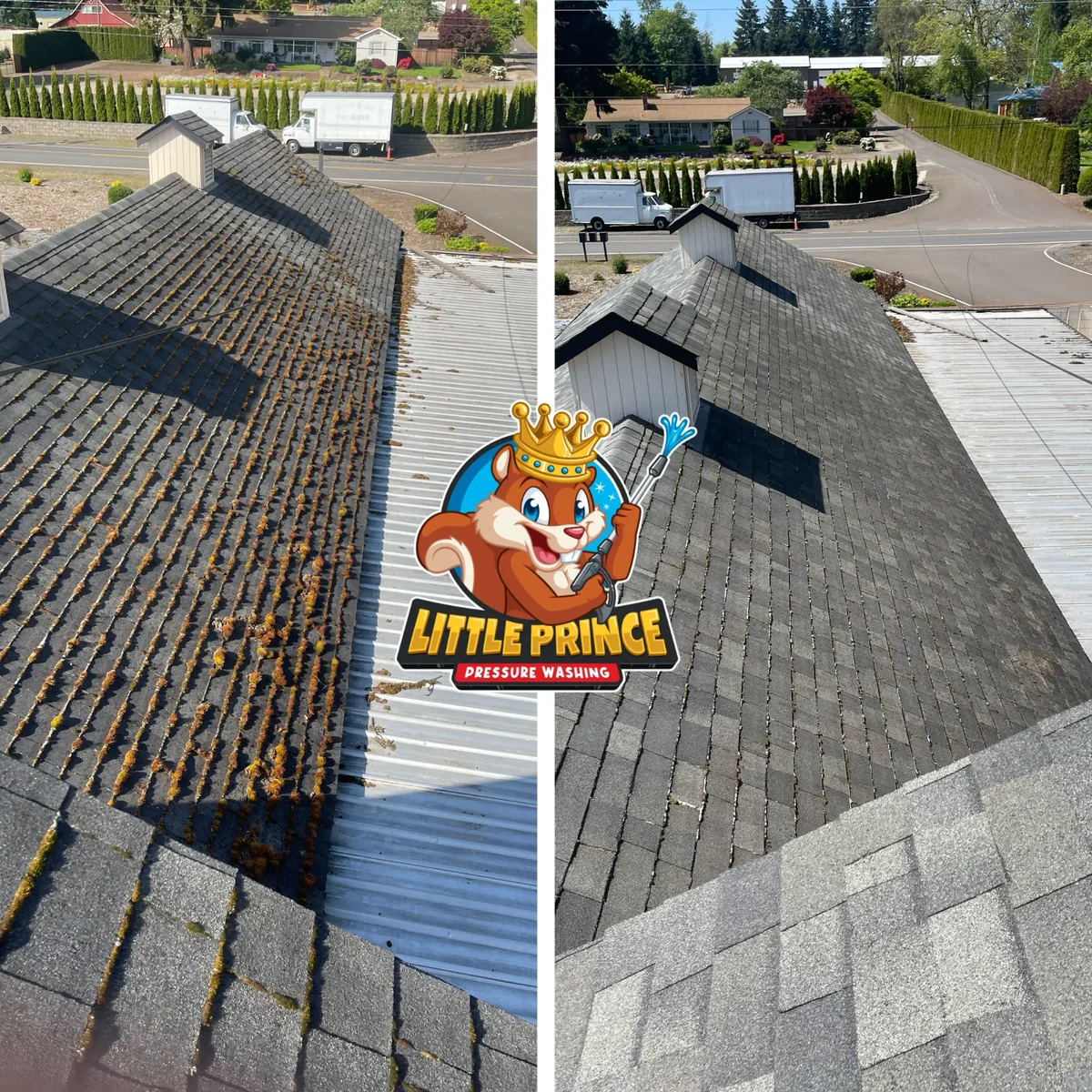 Roof moss removal before and after aerial view