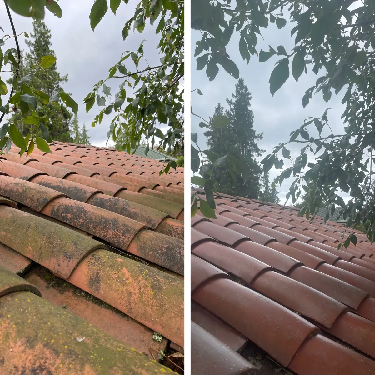 Tile roof cleaning before and after